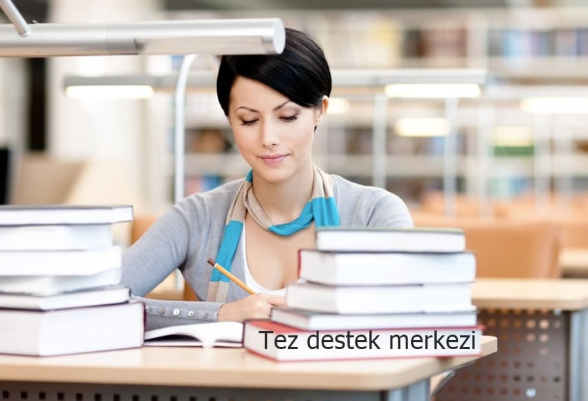 ücretli tez yazdırma